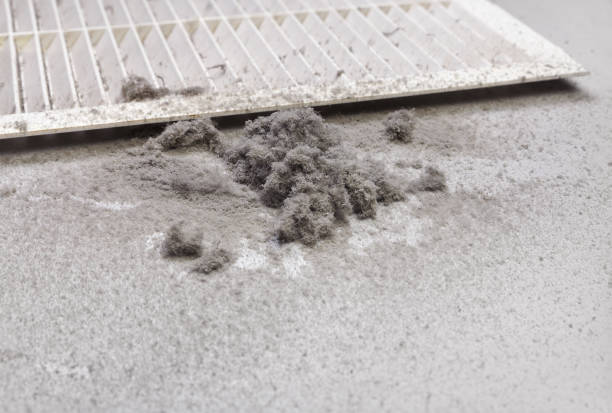 Professional Airduct Cleaning in AK