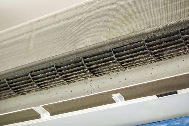 Best Ductwork Cleaning Services  in Tuntutuli, AK